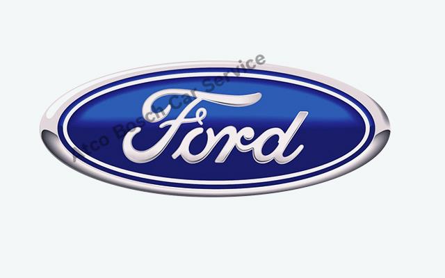 Bayraklı Ford Servisi