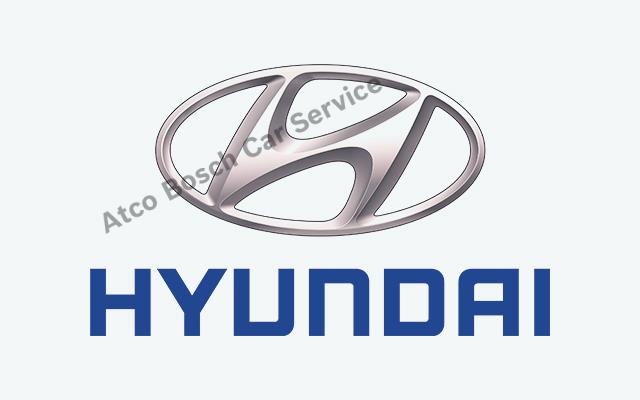 Bayraklı Hyundai Servisi